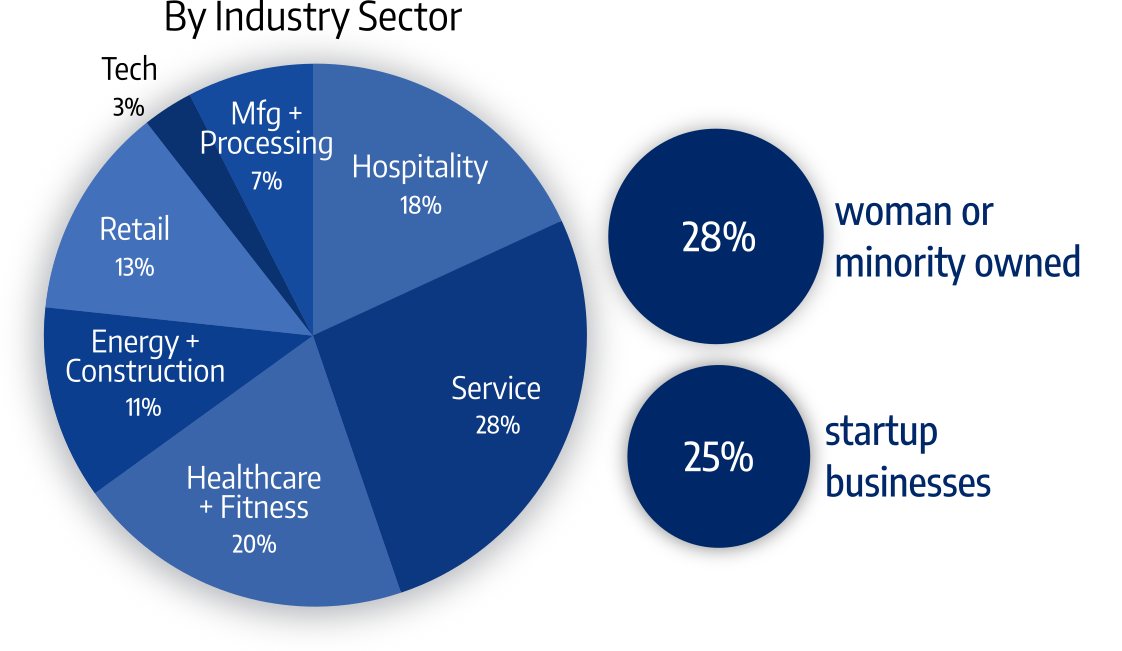 25% startup business. 28% women or minority owned. 11% energy and construction. 20% healthcare and fitness. 18% hospitality. 7% manufacturing and processing. 13% retail. 28% service, 3% technology.